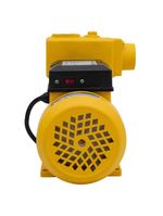 Bomba Auto Aspirante 1,0CV TPS-80 Bivolt FERRARI-Bivolt