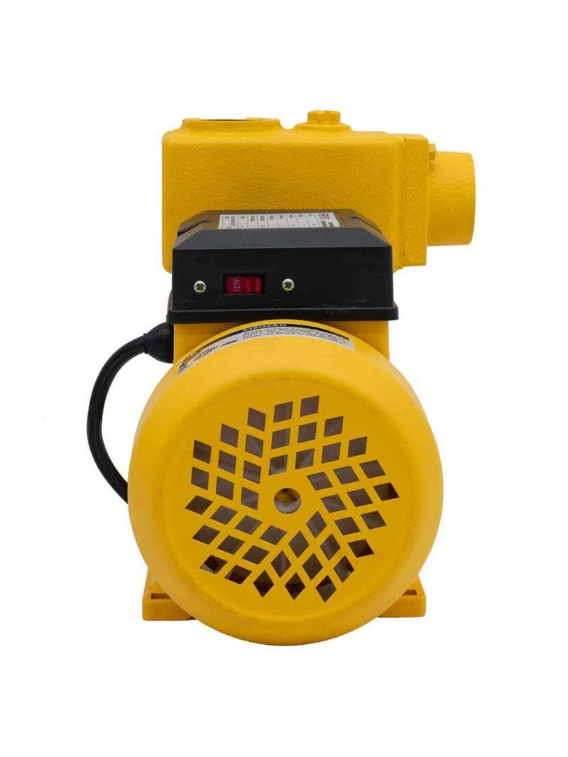 Bomba Auto Aspirante 1,0CV TPS-80 Bivolt FERRARI-Bivolt