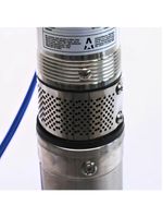 Bomba Submersa para Poço 1/3 CV 25SPFM2/8 220V FERRARI-220V