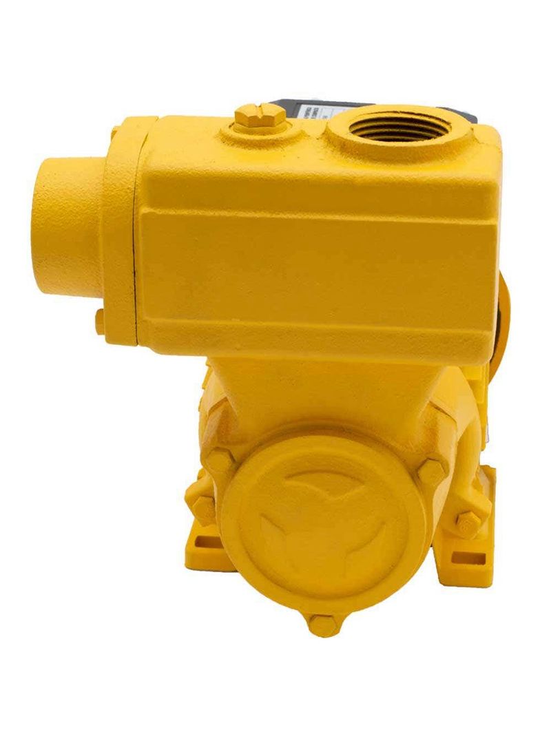 Bomba Auto Aspirante 0,5CV TPS-60 Bivolt FERRARI-Bivolt