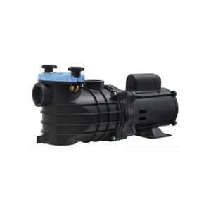 Motobomba para Piscina 3/4 CV Mono 127/220V EKO SCHNEIDER