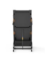 Esteira Ergométrica Elétrica Gallant Elite 29hp 16km/h 130kg 220v (GEE13)