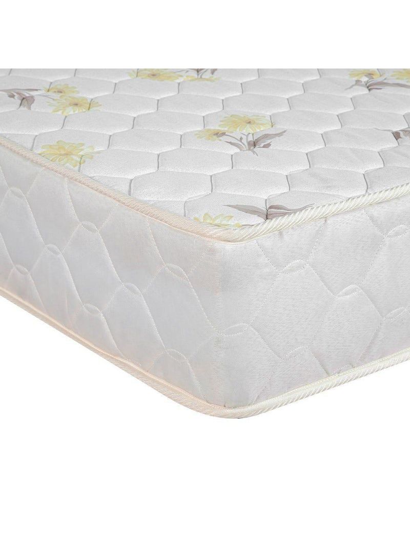 Colchão Castor Queen Sleep Ortopedico Anatomico Double
