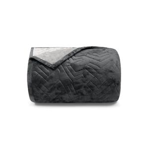 Cobertor Casal Buettner Flannel Plush Dupla Face – 220 cm x 240 cm – Metal Escuro / Metal Claro