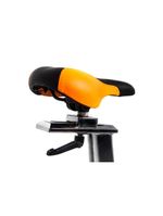 Bicicleta Spinning Profissional Evolution Fitness SP 2600