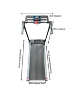 Esteira Elétrica Residencial Winner Fitness W10 220v