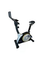 Bicicleta Ergométrica Vertical Magnética Evolution Fitness B 1002