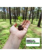 Balcão Gabinete com Pia Inox 160cm Arkansas Preto - Lumil