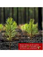 Balcão de Cozinha 1200 com 2 Portas e Gaveteiro Genialflex Iluminata Hortelã