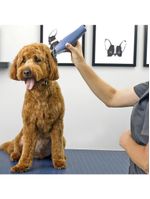 Máquina De Tosa Sem Fio Oster Pro Fast Feed Bateria