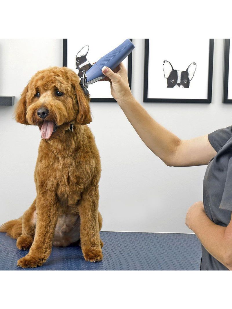 Máquina De Tosa Sem Fio Oster Pro Fast Feed Bateria