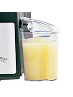 Centrífuga De Alimentos Britânia Juicer 1000 800W 110V
