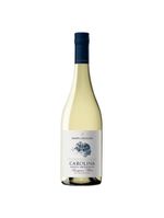 Vinho branco chileno carolina gran reserva sauvignon blanc 750ml