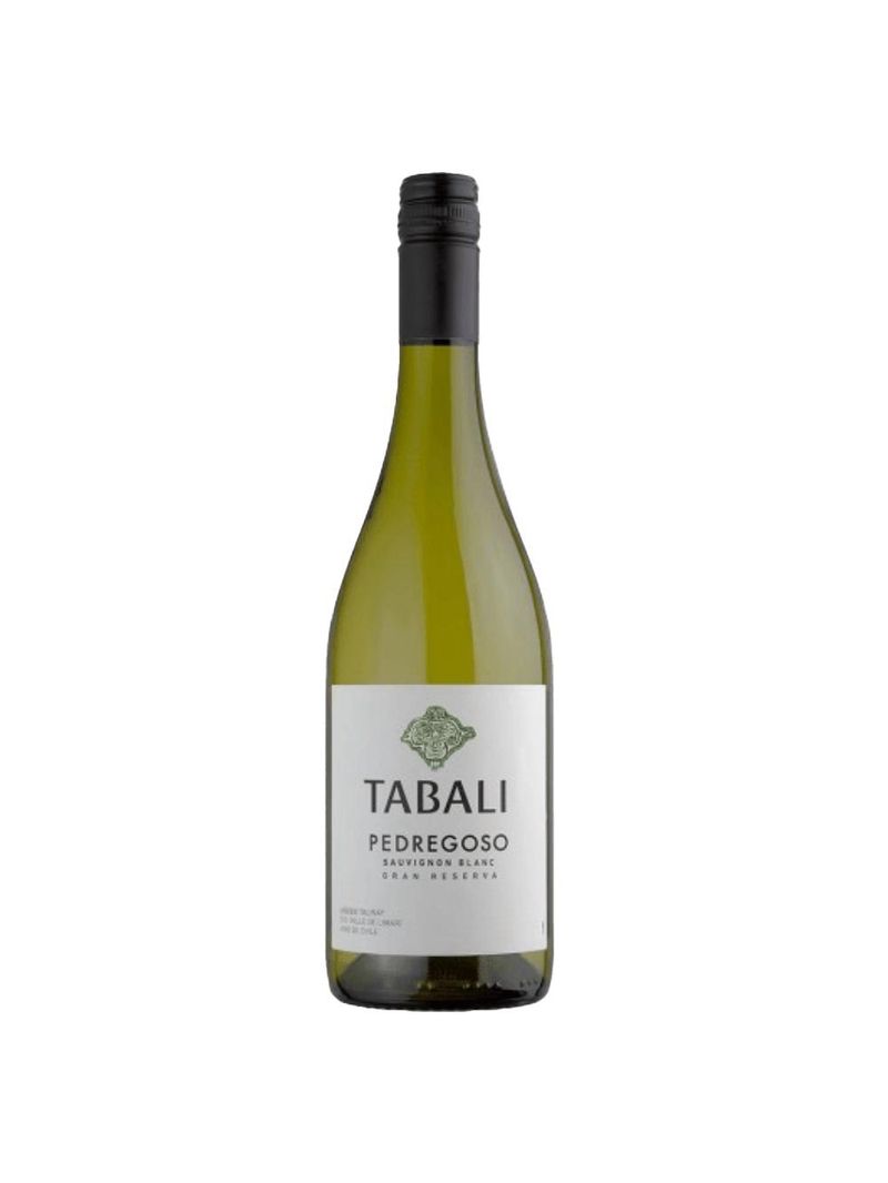 Vinho branco chileno tabali pedregoso sauvignon blanc 2023 750ml