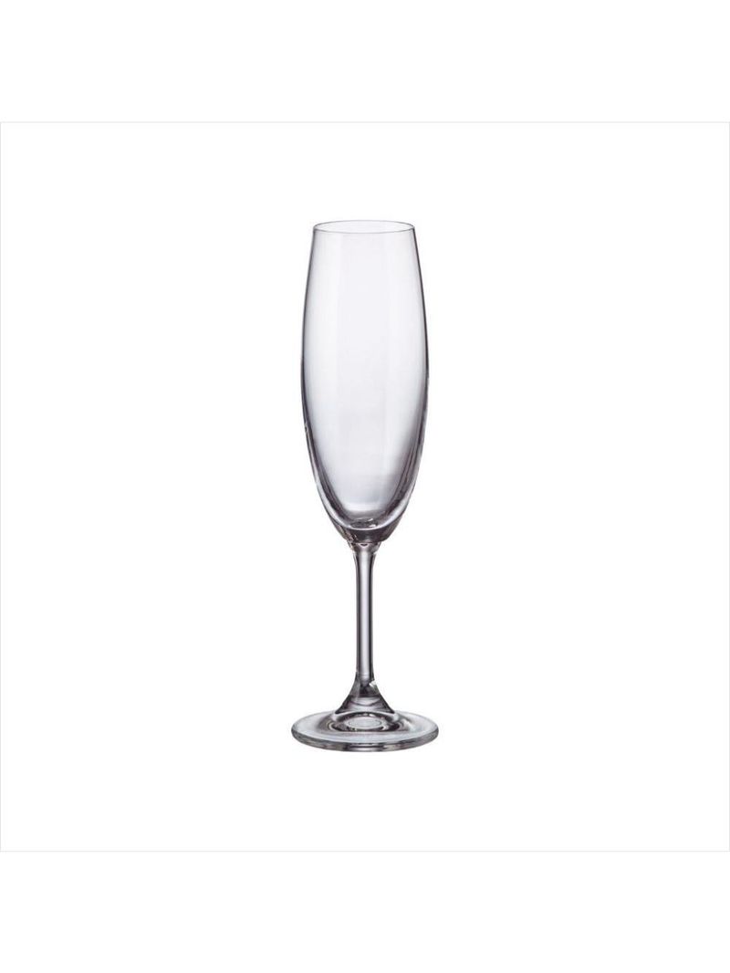 Jogo com 6 taças de cristal 220 ml sylvia - bohemia