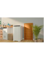 Lavadora De Roupas Britânia 20,6 KG Semi Automatica Branco BLR04 220V