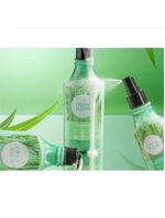 L'occitane Cana De Açucar Shampoo 300ml