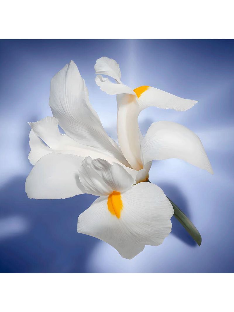 Lancôme La Vie Est Belle Eau De Parfum - Perfume Feminino 150ml