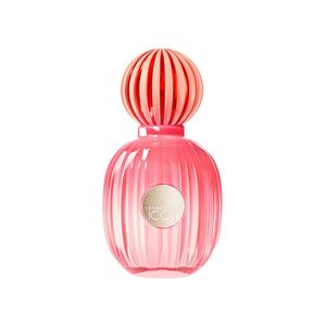 Banderas the icon splendid perfume feminino – eau de parfum