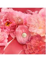 Banderas the icon splendid perfume feminino – eau de parfum