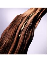 La vie est belle gold extrait lancôme - perfume feminino - eau de parfum