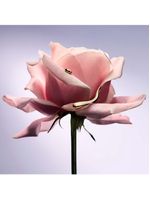 La vie est belle gold extrait lancôme - perfume feminino - eau de parfum