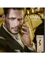 Animale Gold Eau De Toilette Perfume Masculino 100ml