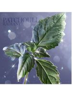 Lancôme La Vie Est Belle L'eau De Parfum Refilable Perfume Feminino 50ml 50ml