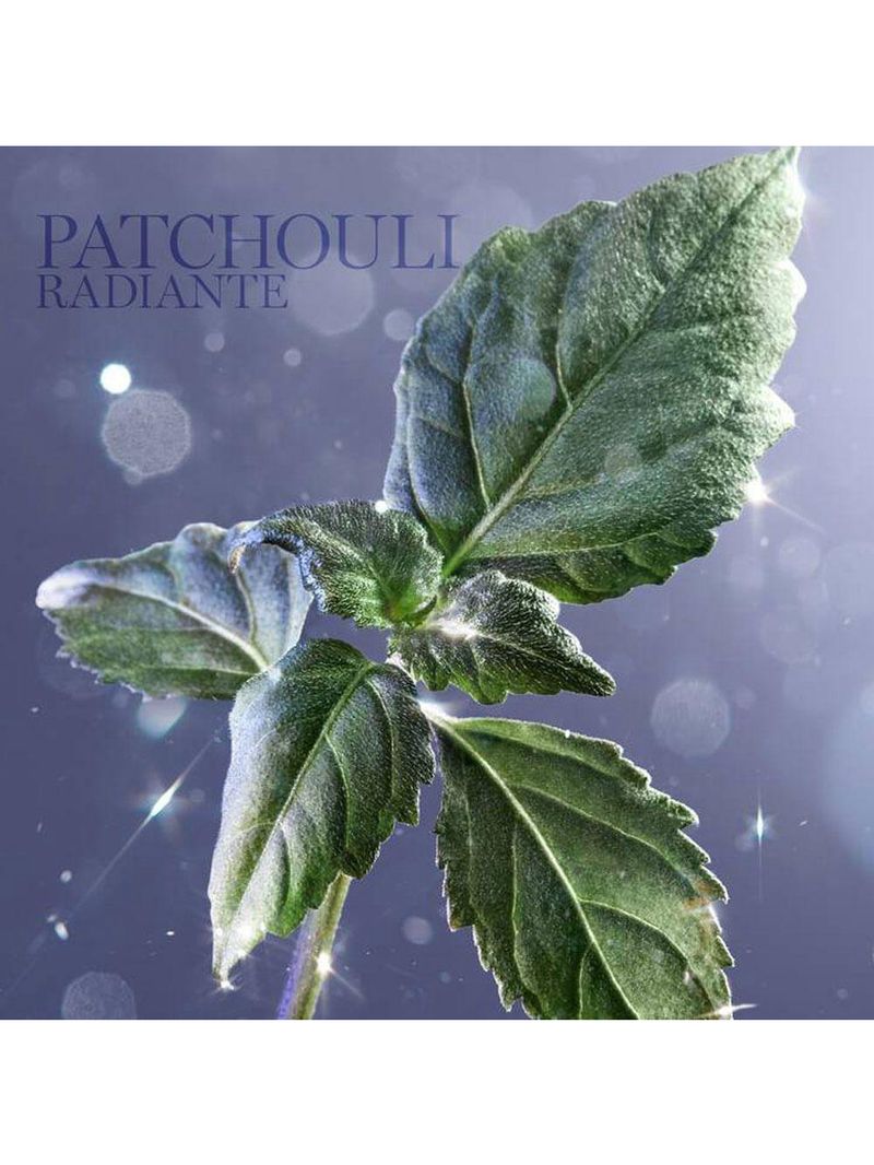 Lancôme La Vie Est Belle L'eau De Parfum Refilable Perfume Feminino 50ml 50ml