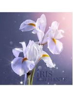 Lancôme La Vie Est Belle L'eau De Parfum Refilable Perfume Feminino 50ml 50ml