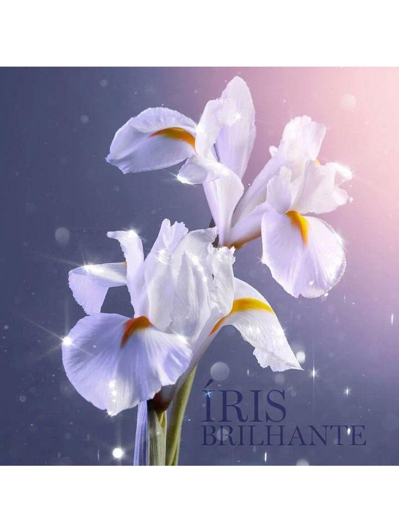 Lancôme La Vie Est Belle L'eau De Parfum Refilable Perfume Feminino 50ml 50ml