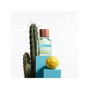 Benetton Green Cactus Eau De Toilette - Perfume Masculino 100ml