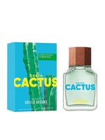 Benetton Green Cactus Eau De Toilette - Perfume Masculino 100ml