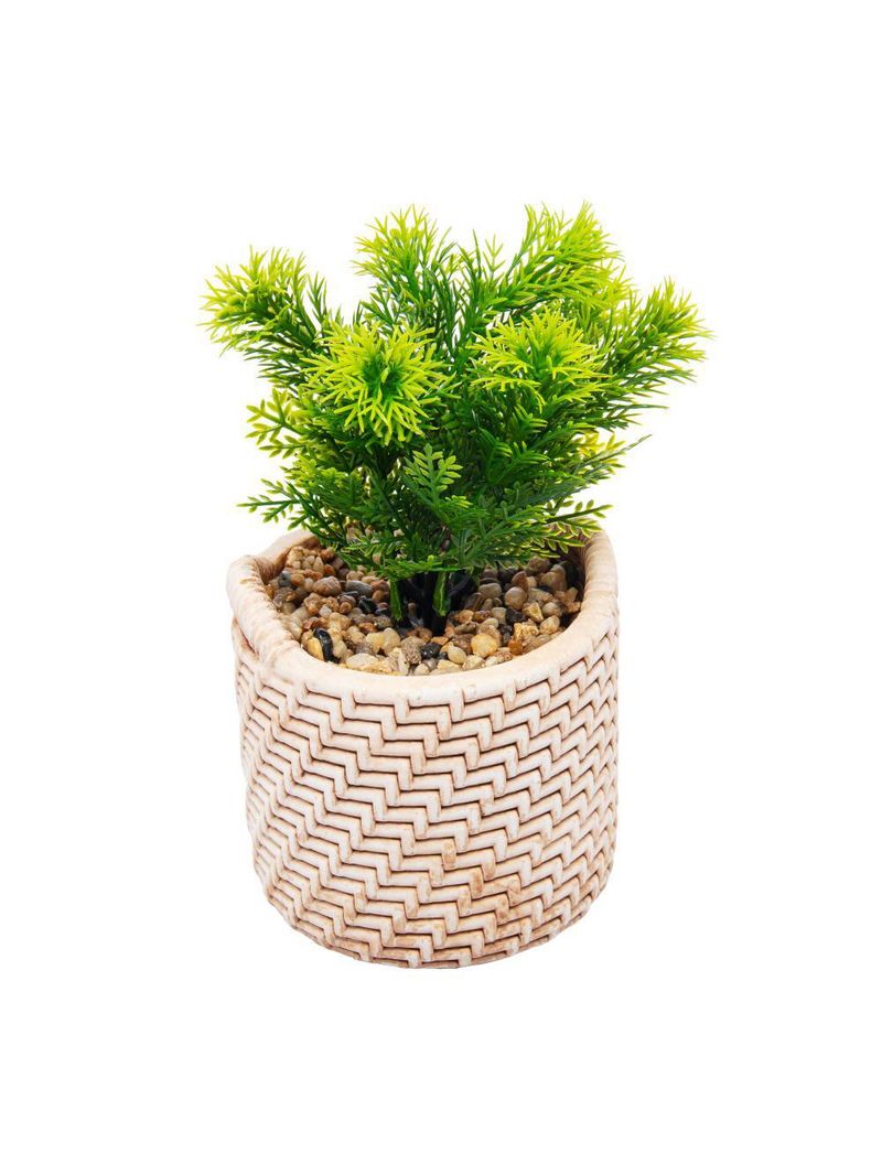 Cachepot wolff de cerâmica com suculenta palha 10cm x 10cm x