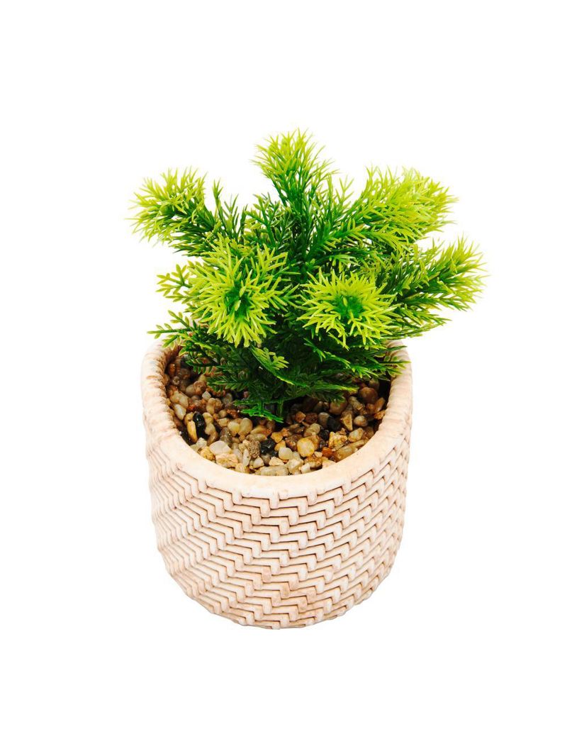 Cachepot wolff de cerâmica com suculenta palha 10cm x 10cm x