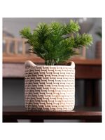 Cachepot wolff de cerâmica com suculenta palha 10cm x 10cm x