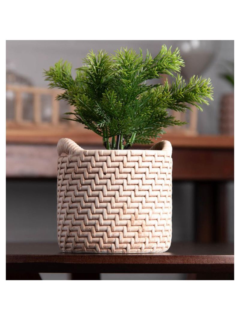 Cachepot wolff de cerâmica com suculenta palha 10cm x 10cm x