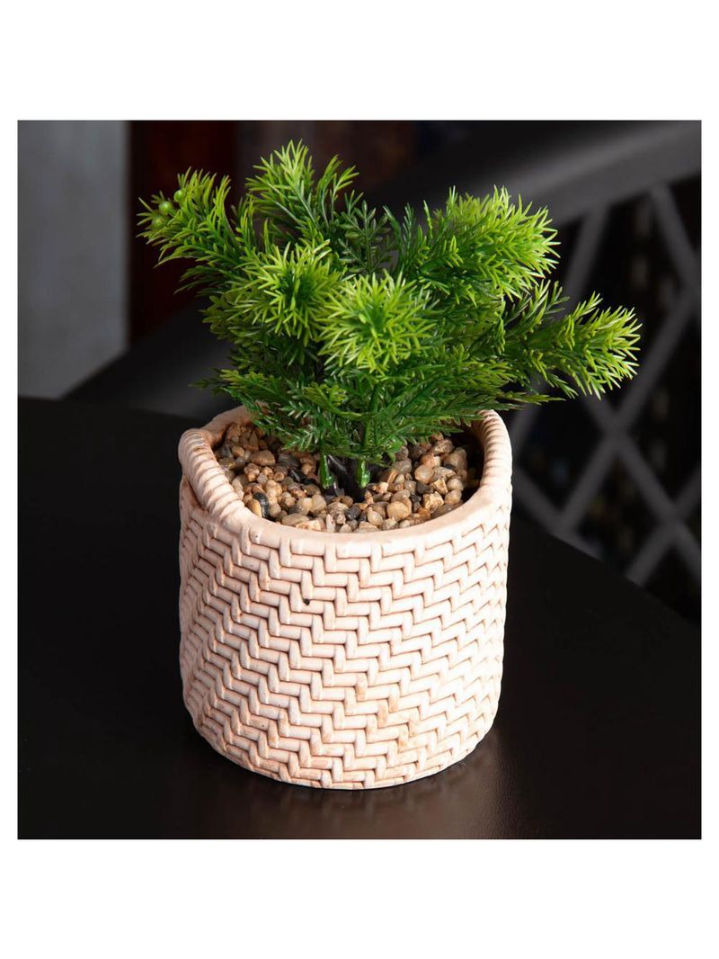 Cachepot wolff de cerâmica com suculenta palha 10cm x 10cm x