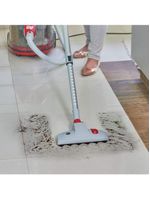 Extratora de sujeira wap aqua cleaner