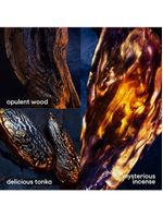 Perfume rabanne invictus victory elixir masculino parfum