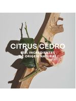 Água fresca citrus cedro adolfo dominguez - perfume masculino - eau de toilette