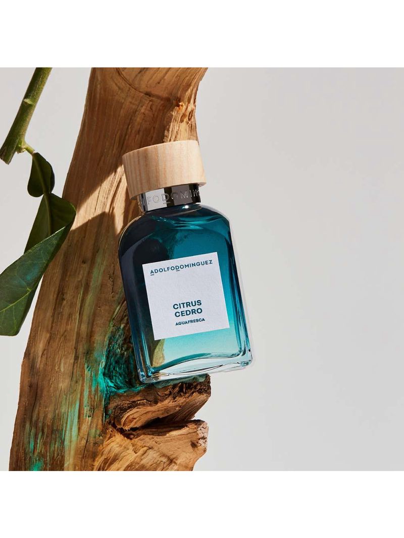 Água fresca citrus cedro adolfo dominguez - perfume masculino - eau de toilette