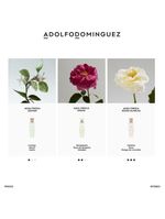 Água fresca de rosas adolfo dominguez - perfume feminino - eau de toilette