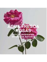 Água fresca de rosas adolfo dominguez - perfume feminino - eau de toilette