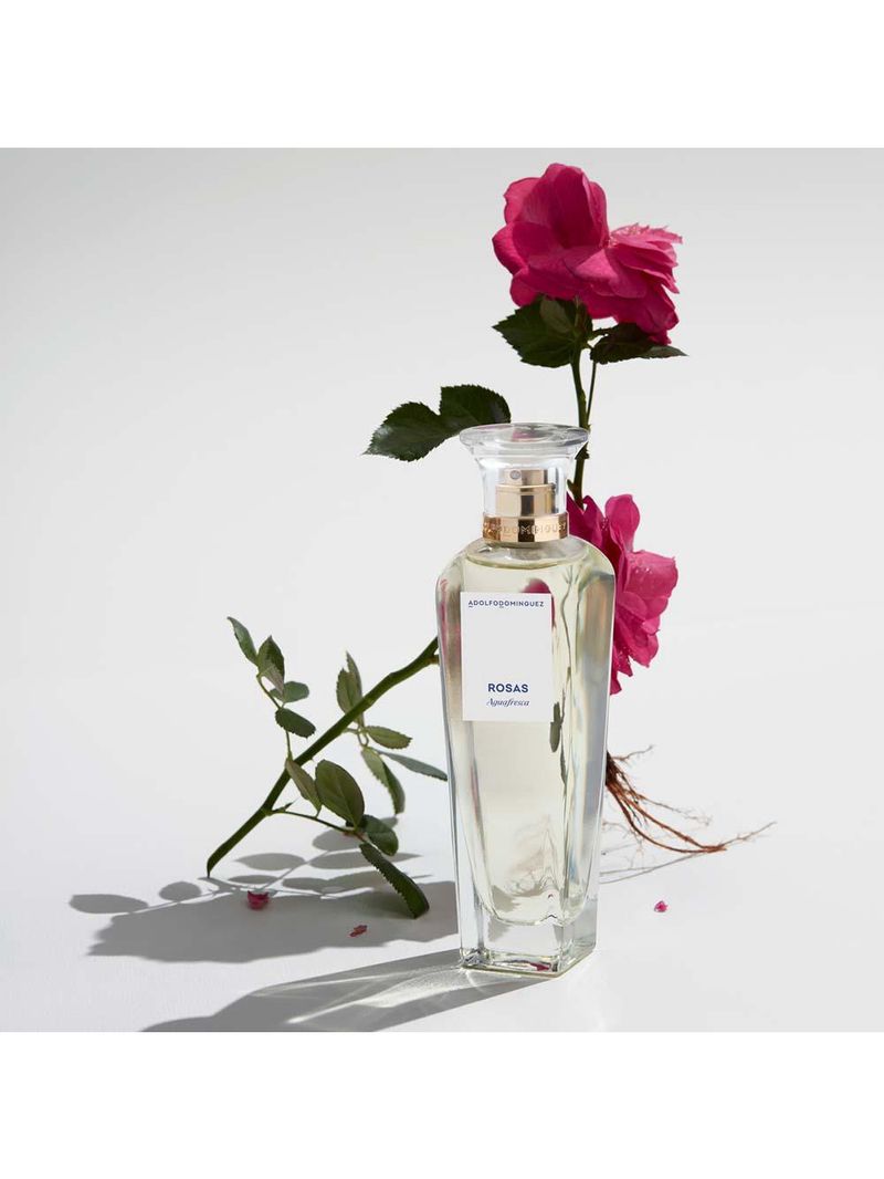 Água fresca de rosas adolfo dominguez - perfume feminino - eau de toilette
