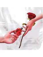 Amor amor cacharel - perfume feminino - eau de toilette