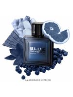 Blue window linn young perfume masculino - eau de toilette