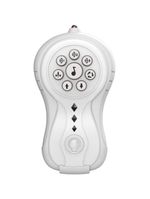 Aranha de controle remoto spider beast multifunções com spray multikids - br2134