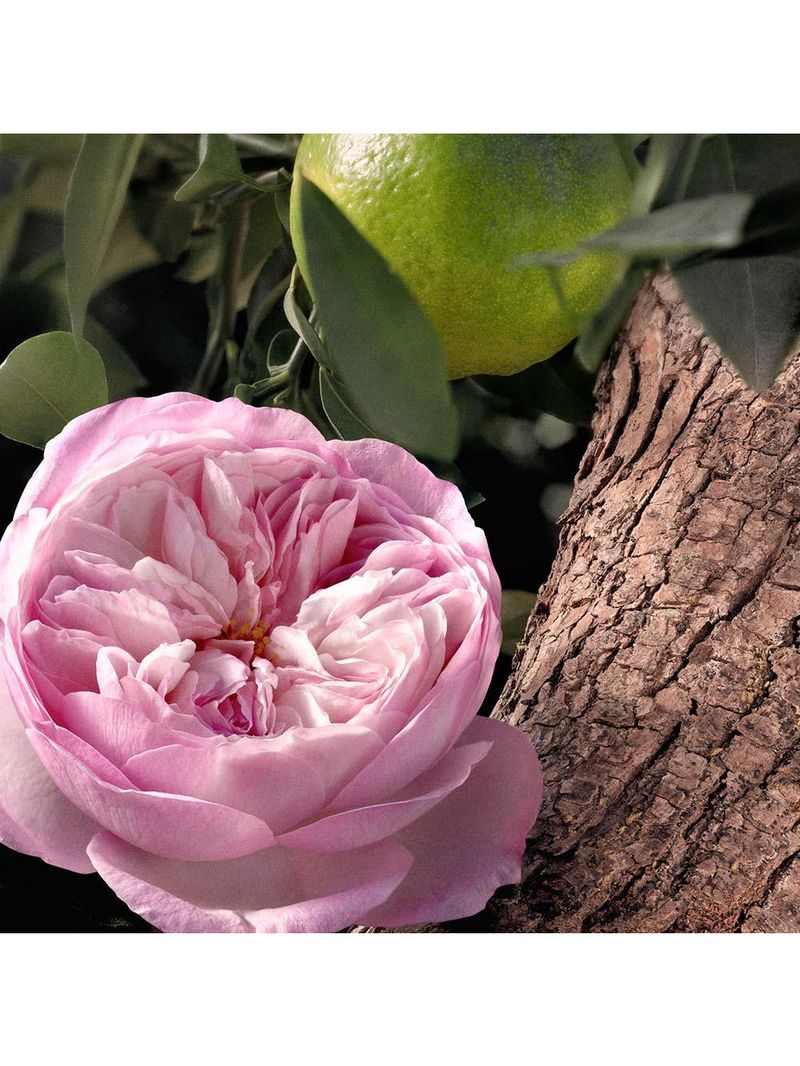 Rose naturelle intense refill chloé  - perfume feminino - eau de parfum