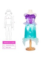 Boneca disney princesas ariel kit com fantasia sapatos e acessórios tam Único multikids - br2331